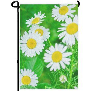 SKU-08-12x18 inch Multi42